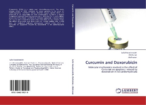 Curcumin and Doxorubicin: Molecular mechanisms involved in the effect of Curcumin on apoptosis induced by doxorubicin in rat cardiomyoblasts