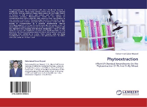 Phytoextraction: Effect Of Chemical Amendments On The Phytoextraction Of Pb And Zn By Wheat