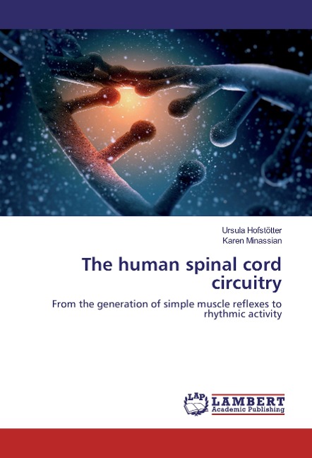 The human spinal cord circuitry: From the generation of simple muscle reflexes to rhythmic activity