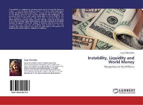 Instability, Liquidity and World Money: Perspectives on the US Dollar