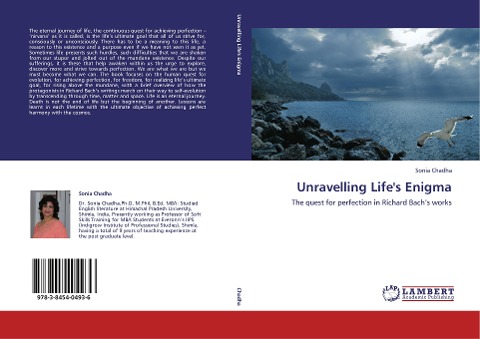 Unravelling Lifes Enigma: The quest for perfection in Richard Bachs works