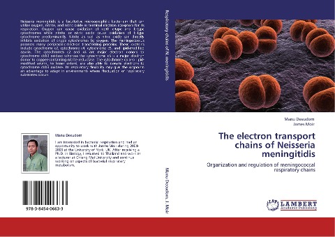 The electron transport chains of Neisseria meningitidis: Organization and regulation of meningococcal respiratory chains