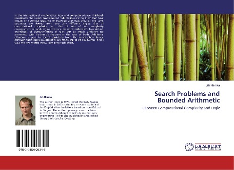 Search Problems and Bounded Arithmetic: Between Computational Complexity and Logic