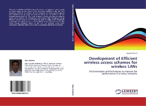 Development of Efficient wireless access schemes for wireless LANs: Methodologies and techniques to improve the performance in wireless networks