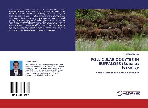 FOLLICULAR OOCYTES IN BUFFALOES (Bubalus bubalis):: Characterisation and In-Vitro Maturation