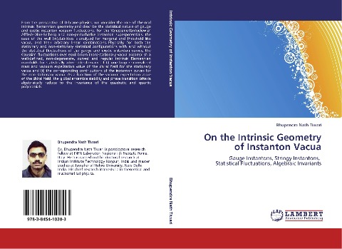 On the Intrinsic Geometry of Instanton Vacua: Gauge Instantons, Stringy Instantons, Statistical Fluctuations, Algebraic Invariants