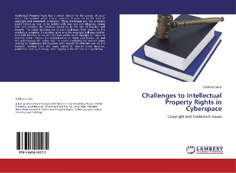 Challenges to Intellectual Property Rights in Cyberspace: Copyright and Trademark issues