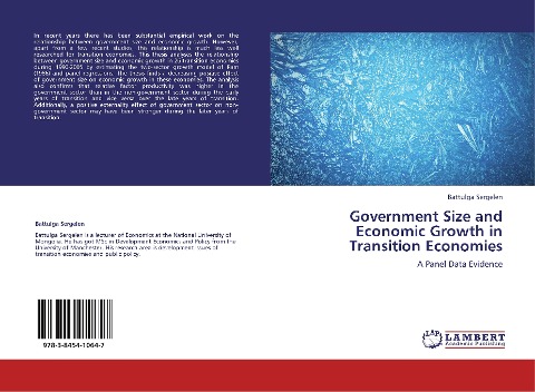 Government Size and Economic Growth in Transition Economies: A Panel Data Evidence