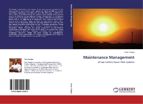 Maintenance Management: of Gas Turbine Power Plant Systems