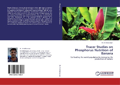Tracer Studies on Phosphorus Nutrition of Banana: for feeding the world population by increasing the production of banana
