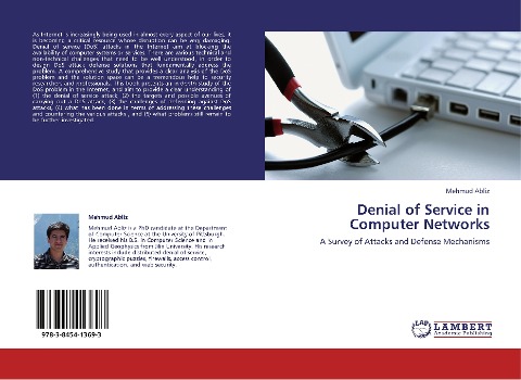 Denial of Service in Computer Networks: A Survey of Attacks and Defense Mechanisms