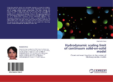 Hydrodynamic scaling limit of continuum solid-on-solid model: Closed and exact functions in the context of Ginzburg-Landau models