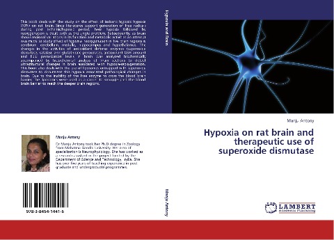 Hypoxia on rat brain and therapeutic use of superoxide dismutase
