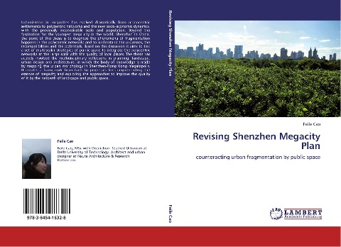 Revising Shenzhen Megacity Plan: counteracting urban fragmentation by public space