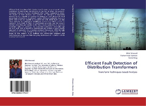 Efficient Fault Detection of Distribution Transformers: Transform Techniques based Analysis