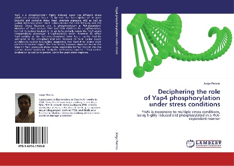 Deciphering the role of Yap4 phosphorylation under stress conditions: YAP4 is responsive to multiple stress conditions, being highly induced and phosphorylated in a PKA-dependent manner