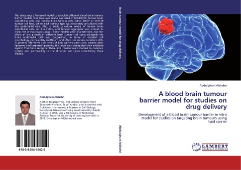 A blood brain tumour barrier model for studies on drug delivery: Development of a blood brain tumour barrier in vitro model for studies on targeting brain tumours using lipid carrier