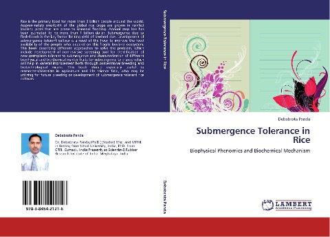 Submergence Tolerance in Rice: Biophysical Phenomics and Biochemical Mechanism