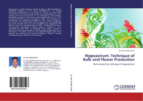 Hippeastrum: Technique of Bulb and Flower Production: Bulb production tehnique of hippeastrum
