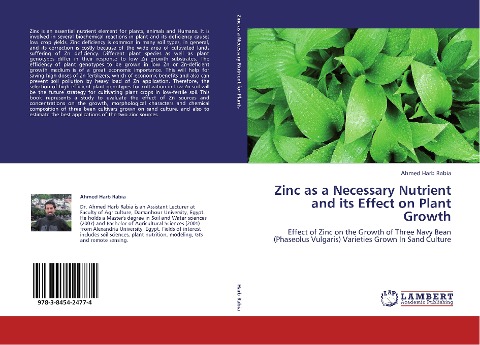 Zinc as a Necessary Nutrient and its Effect on Plant Growth: Effect of Zinc on the Growth of Three Navy Bean (Phaseolus Vulgaris) Varieties Grown In Sand Culture