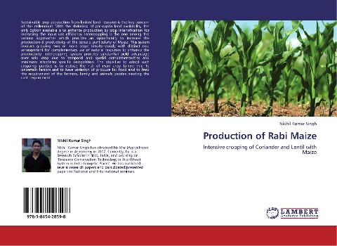 Production of Rabi Maize: Intensive cropping of Coriander and Lentil with Maize