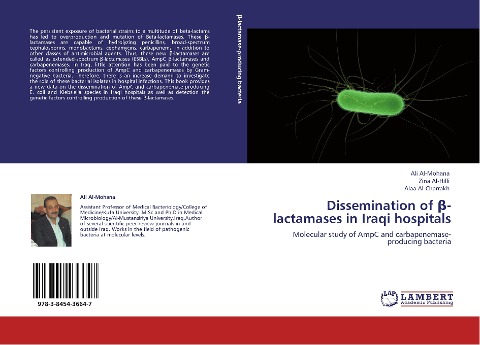 Dissemination of ¿-lactamases in Iraqi hospitals: Molecular study of AmpC and carbapenemase-producing bacteria