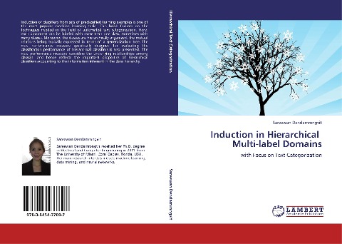 Induction in Hierarchical Multi-label Domains: with Focus on Text Categorization