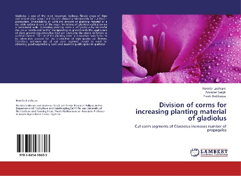 Division of corms for increasing planting material of gladiolus: Cut corm segments of Gladiolus increases number of propagules