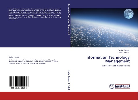 Information Technology Management: Issues in the IT management