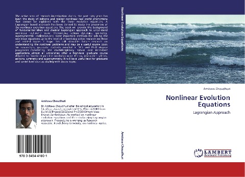 Nonlinear Evolution Equations: Lagrangian Approach