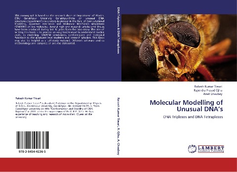 Molecular Modelling of Unusual DNAs: DNA Triplexes and DNA Tetraplexes