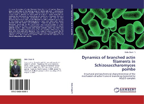 Dynamics of branched actin filaments in Schizosaccharomyces pombe: Structural and biochemical characterization of the mechanism of actin filament branching mediated by Arp2/3 complex