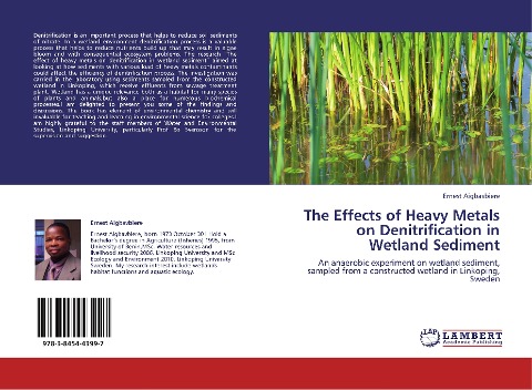 The Effects of Heavy Metals on Denitrification in Wetland Sediment: An anaerobic experiment on wetland sediment, sampled from a constructed wetland in Linkoping, Sweden