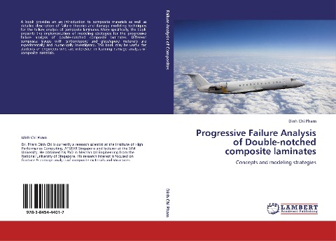 Progressive Failure Analysis of Double-notched composite laminates: Concepts and modeling strategies