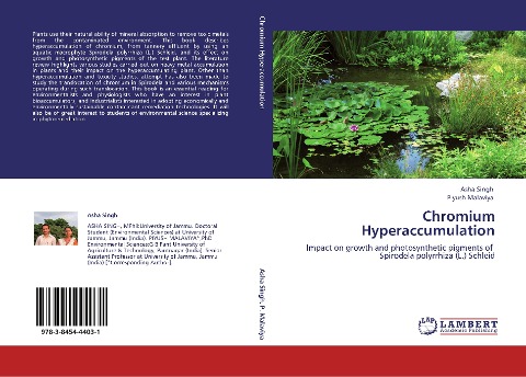 Chromium Hyperaccumulation: Impact on growth and photosynthetic pigments of Spirodela polyrrhiza (L.) Schleid