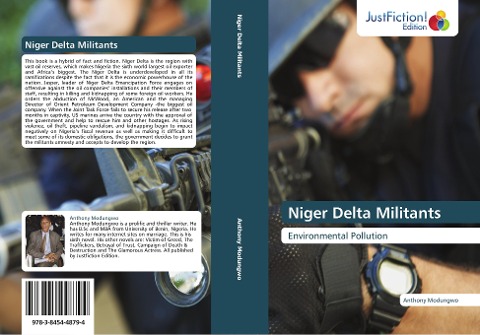 Niger Delta Militants: Environmental Pollution