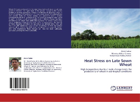 Heat Stress on Late Sown Wheat: High temperature due to climate change limits the productivity of wheat in sub-tropical conditions