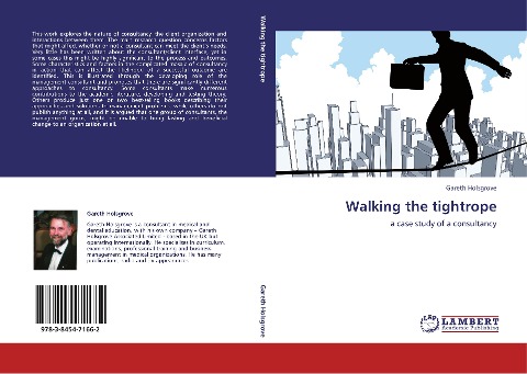 Walking the tightrope: a case study of a consultancy
