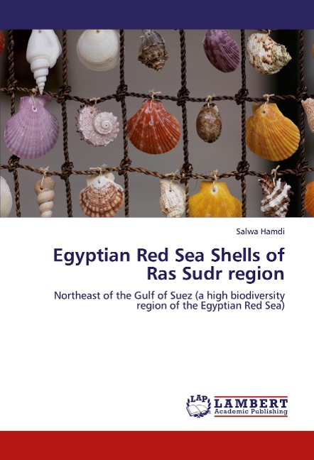Egyptian Red Sea Shells of Ras Sudr region: Northeast of the Gulf of Suez (a high biodiversity  region of the Egyptian Red Sea)