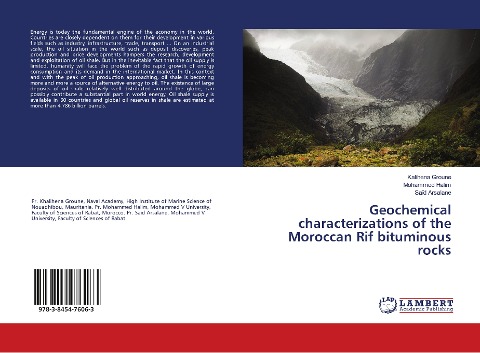 Geochemical characterizations of the Moroccan Rif bituminous rocks