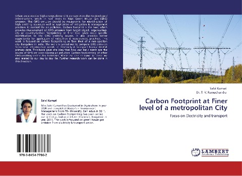 Carbon Footprint at Finer level of a metropolitan City: focus on Electricity and transport
