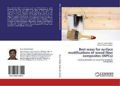 Best ways for surface modifications of wood fiber composites (WPCs): Coating adhesion on wood thermoplastic composites