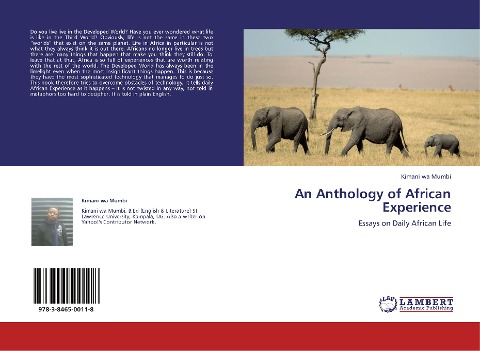 An Anthology of African Experience: Essays on Daily African Life