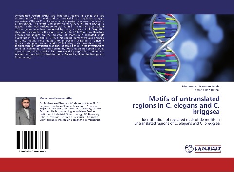 Motifs of untranslated regions in C. elegans and C. briggsea: Identification of repeated nucleotide motifs in untranslated regions of C. elegans and C. breggsea