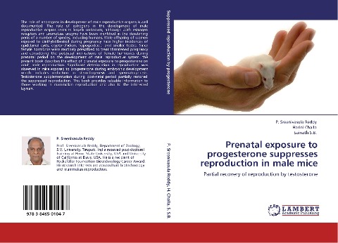 Prenatal exposure to progesterone suppresses reproduction in male mice: Partial recovery of reproduction by testosterone