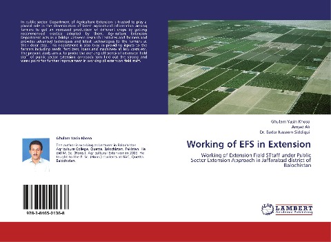 Working of EFS in Extension: Working of Extension Field STtaff under Public Sector Extension Approach in Jaffarabad district of Balochistan