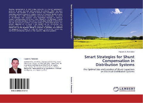 Smart Strategies for Shunt Compensation in Distribution Systems: The Optimal Size and Location of Shunt Capacitors on Electrical Distribution Systems