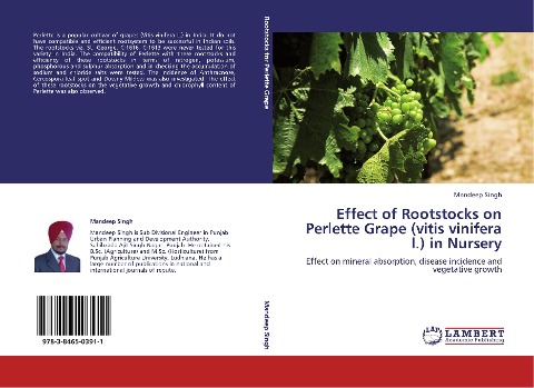 Effect of Rootstocks on Perlette Grape (vitis vinifera l.) in Nursery: Effect on mineral absorption, disease incidence and vegetative growth