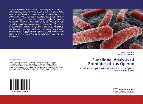 Functional Analysis of Promoter of cus Operon: Activity of Copper-mediated Induction of cus Operon Promoter in E. coli.