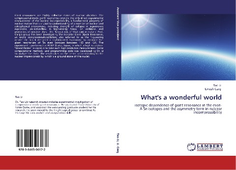 Whats a wonderful world: isotopic dependence of giant resonance in the even-A Sn isotopes and the asymmetry term in nulcear incompressibility